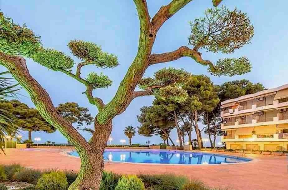 Estudio Renovado En Primera Linea De Mar Apartament *
